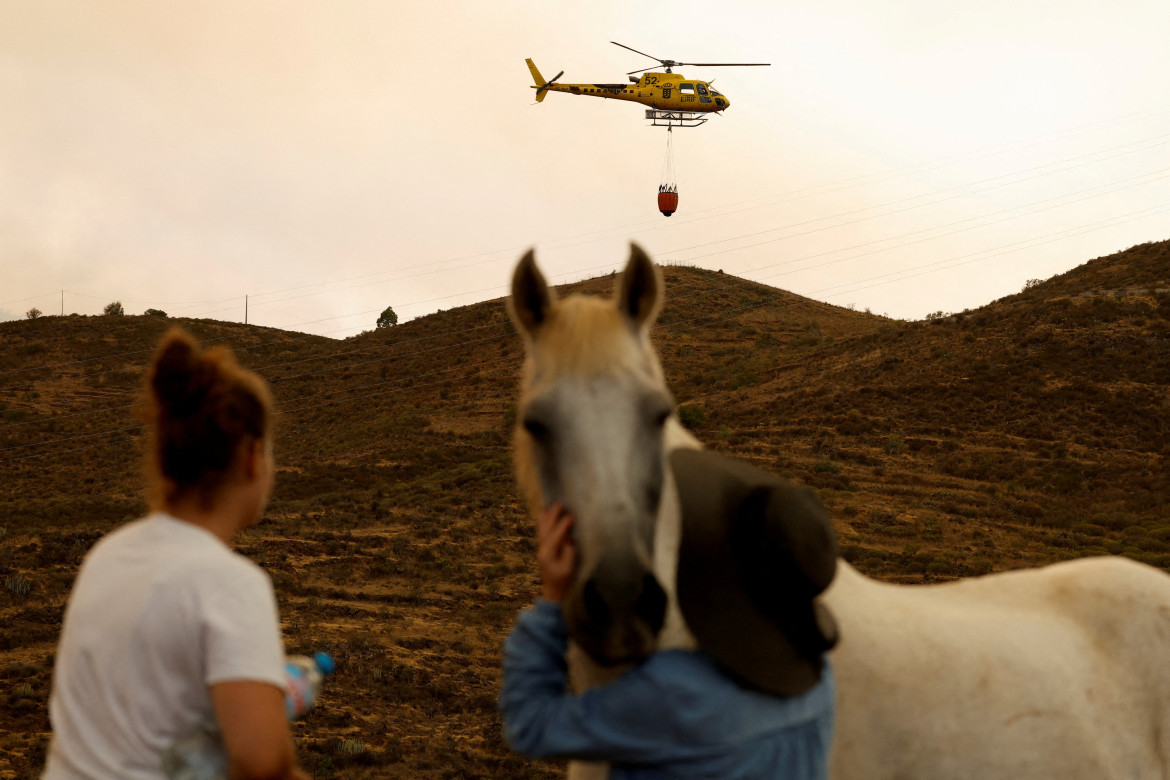 Incendios en Tenerife. Foto: Reuters.