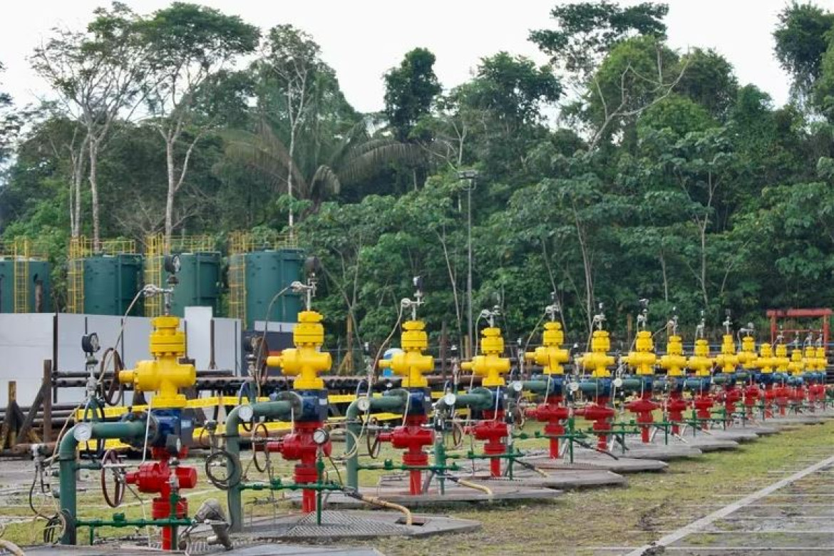 Hilera de pozos petroleros en una plataforma del campo Tambococha, del Bloque 43-ITT. Foto: EFE.