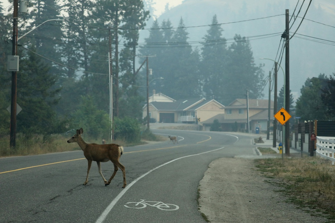 La ciudad de Kelowna, British Columbia, Canadá. Foto: Reuters.