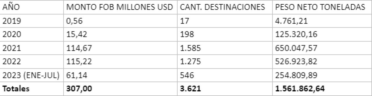 Exportaciones de maíz partido hechas por operadores con incumplimientos de ingreso de divisas informados por el BCRA. Foto: Aduana