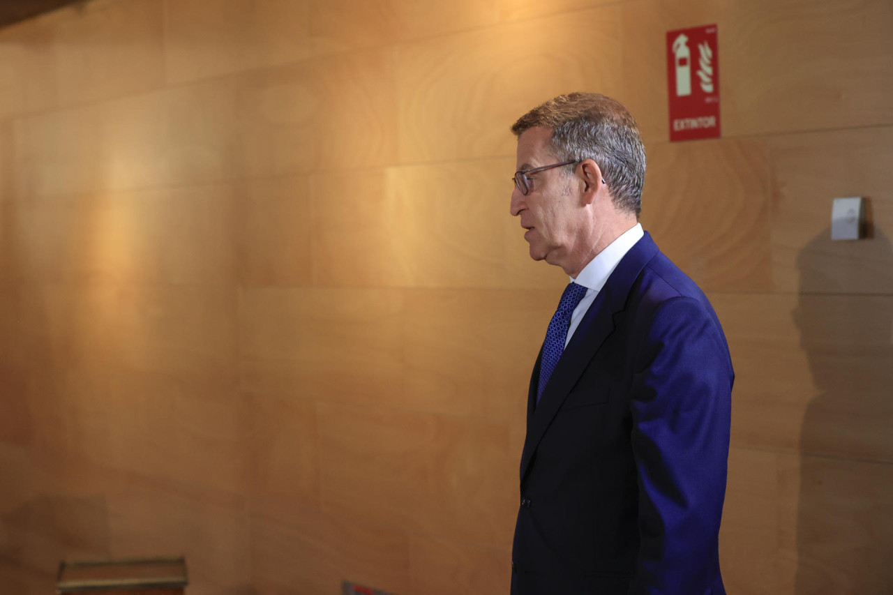 Alberto Núñez Feijóo. Foto: EFE.