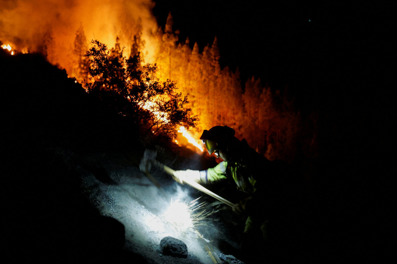 Incendio forestales en Grecia. Foto: Reuters