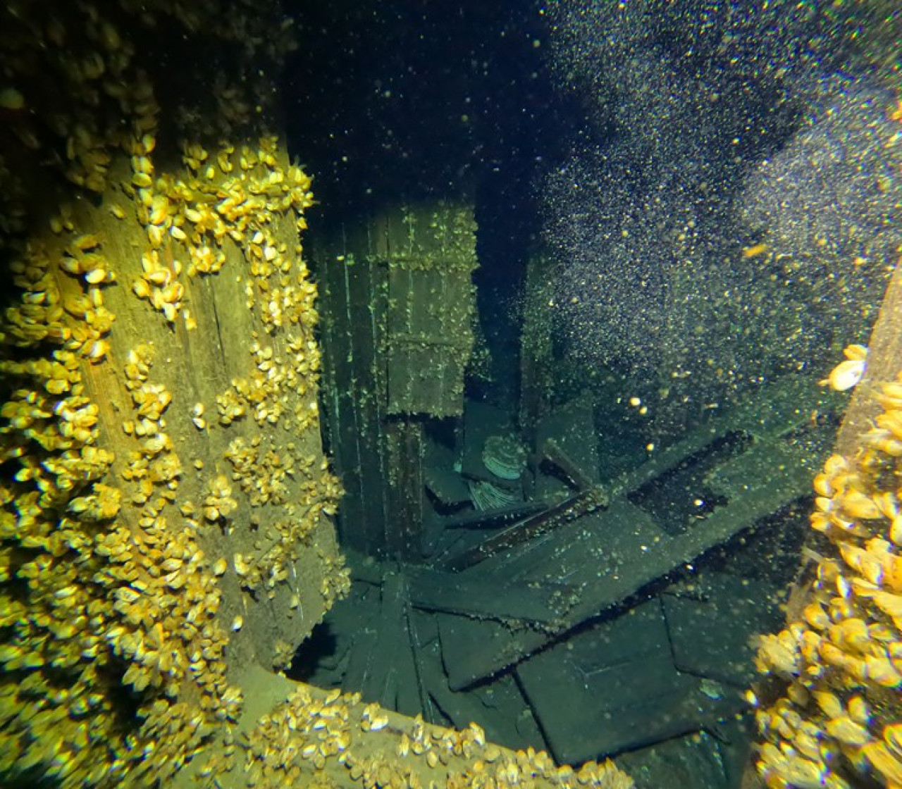 Descubrimiento del barco Trinidad. Foto: Facebook Wisconsin Historical Society.