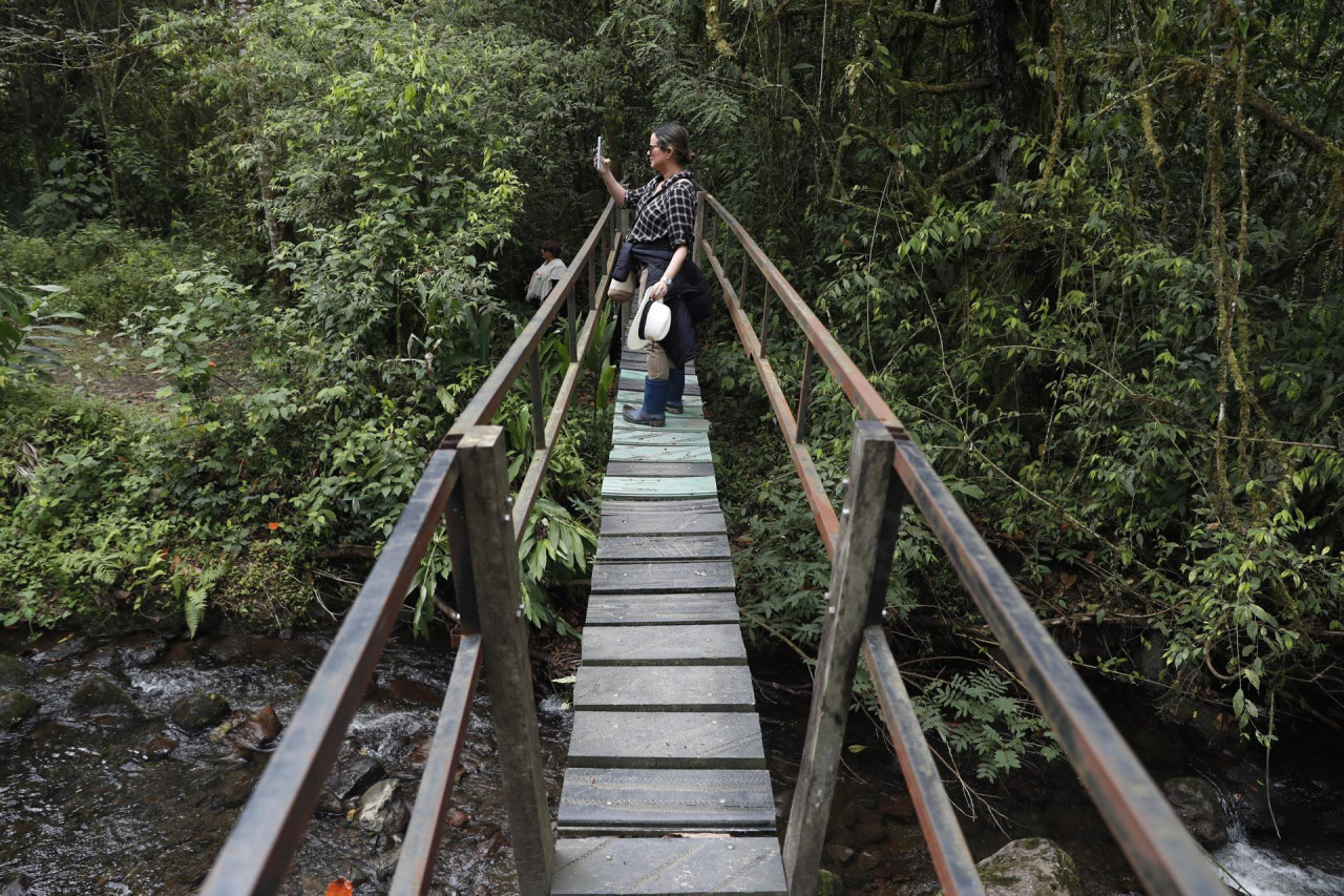 Eje Cafetero , Colombia. Foto: EFE