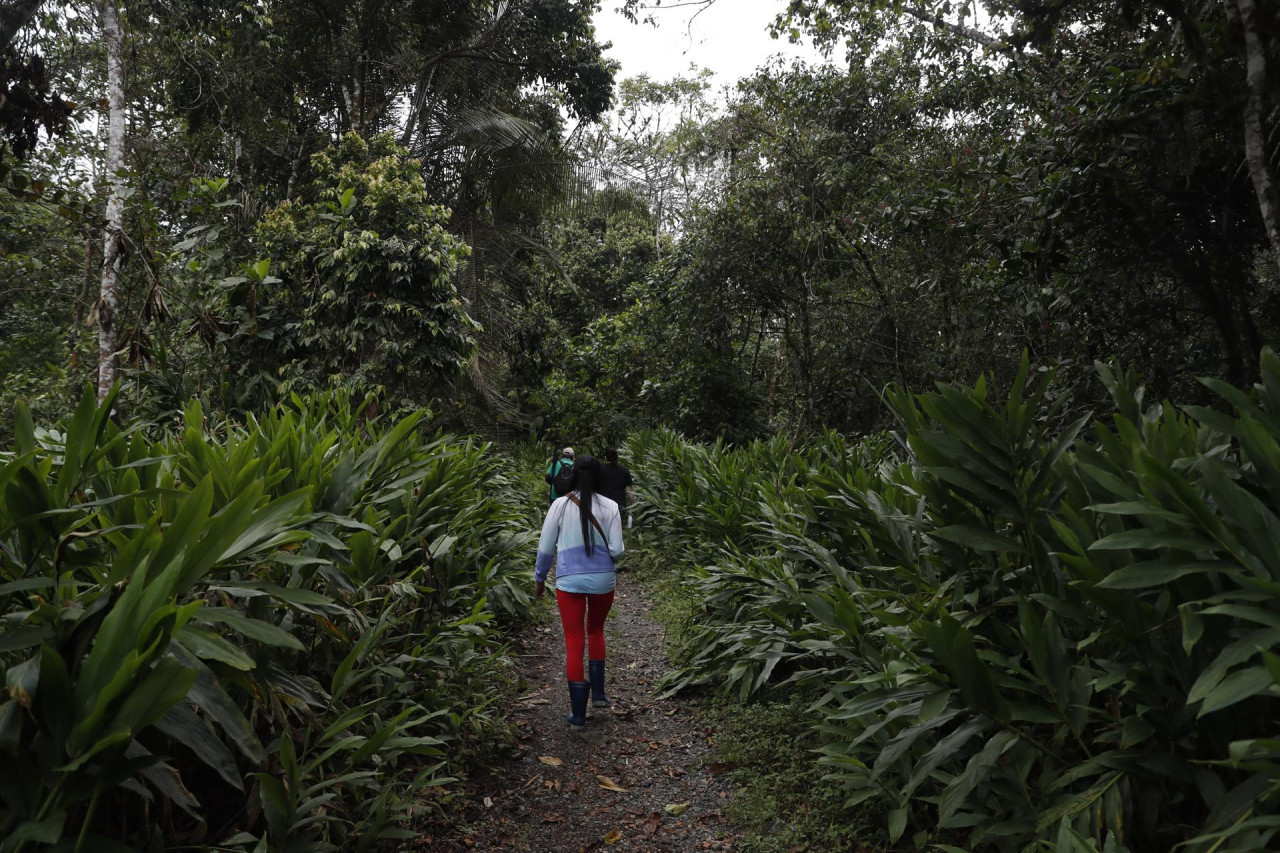 Eje Cafetero , Colombia. Foto:EFE