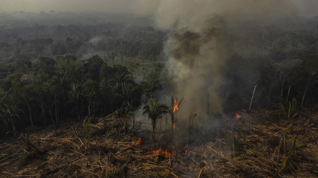 Septiembre es la época más seca y en la que se desatan más fuegos en Amazonas. Foto EFE.