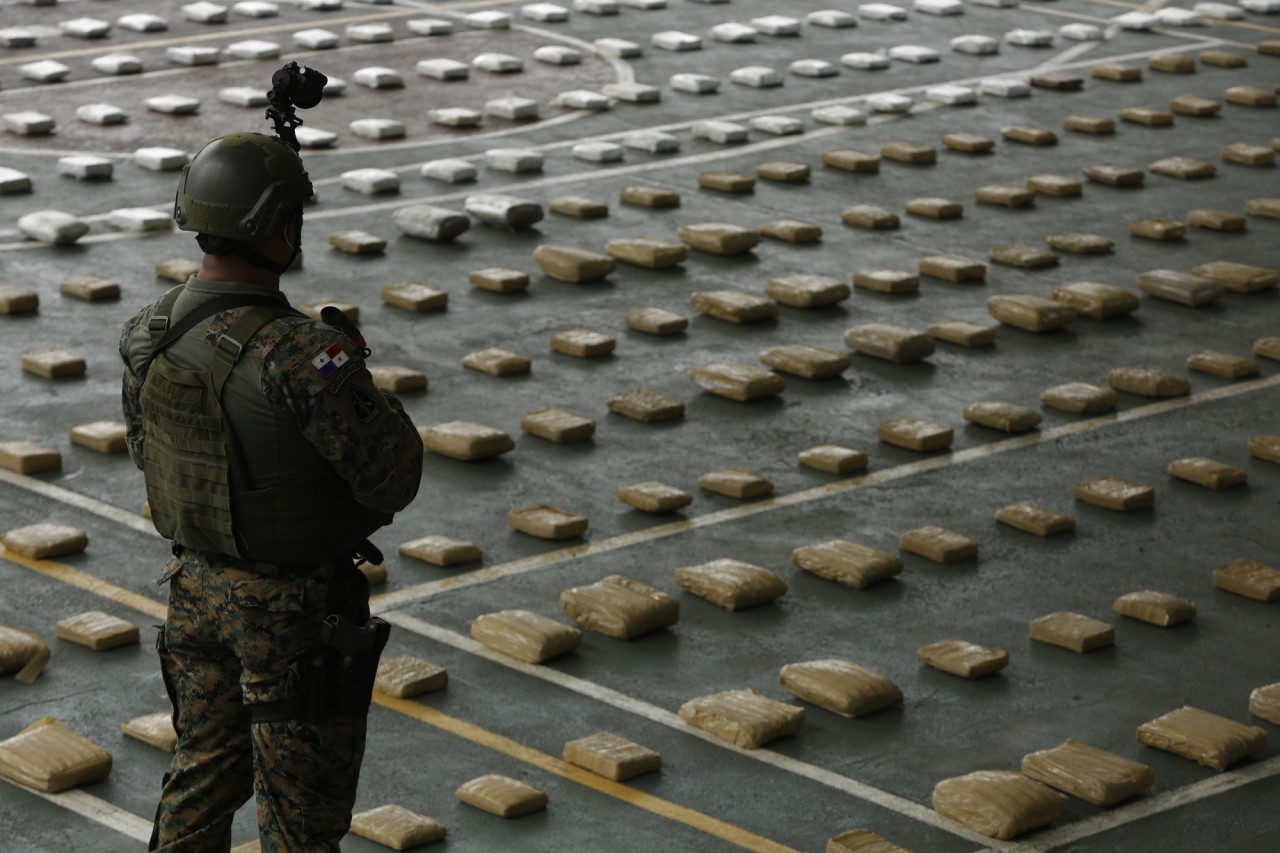 Lucha contra el narcotráfico en Colombia. Foto: EFE