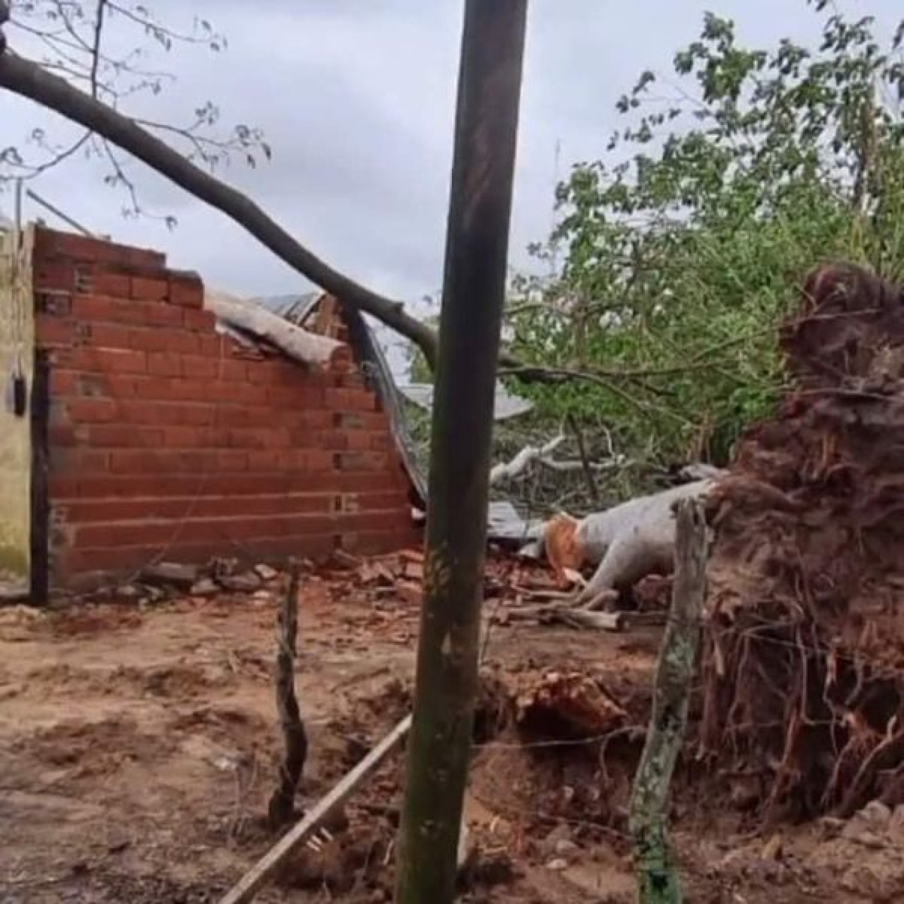 El árbol cayó sobre la habitación donde se encontraba la joven. Foto: Facebook