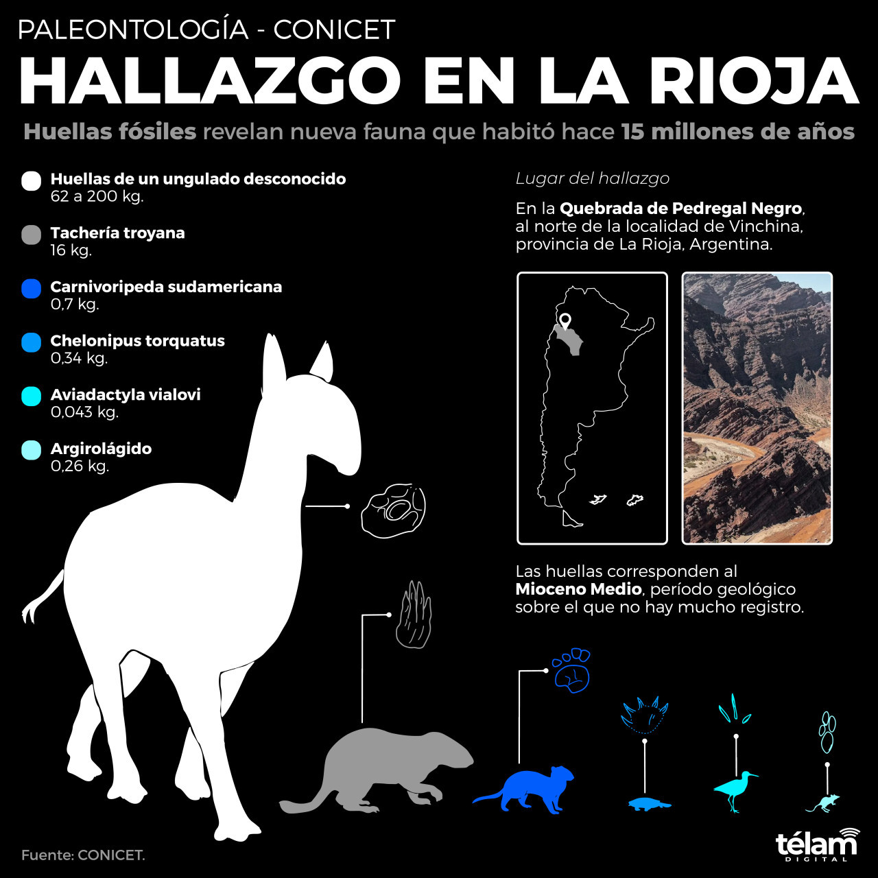 Nuevo hallazgo en La Rioja. Infografía Télam