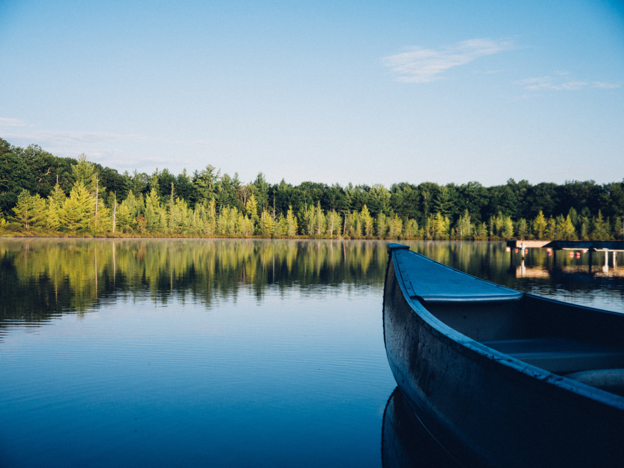 Esta planta ha tenido efectos severos en el lago Victoria en África. Unsplash.