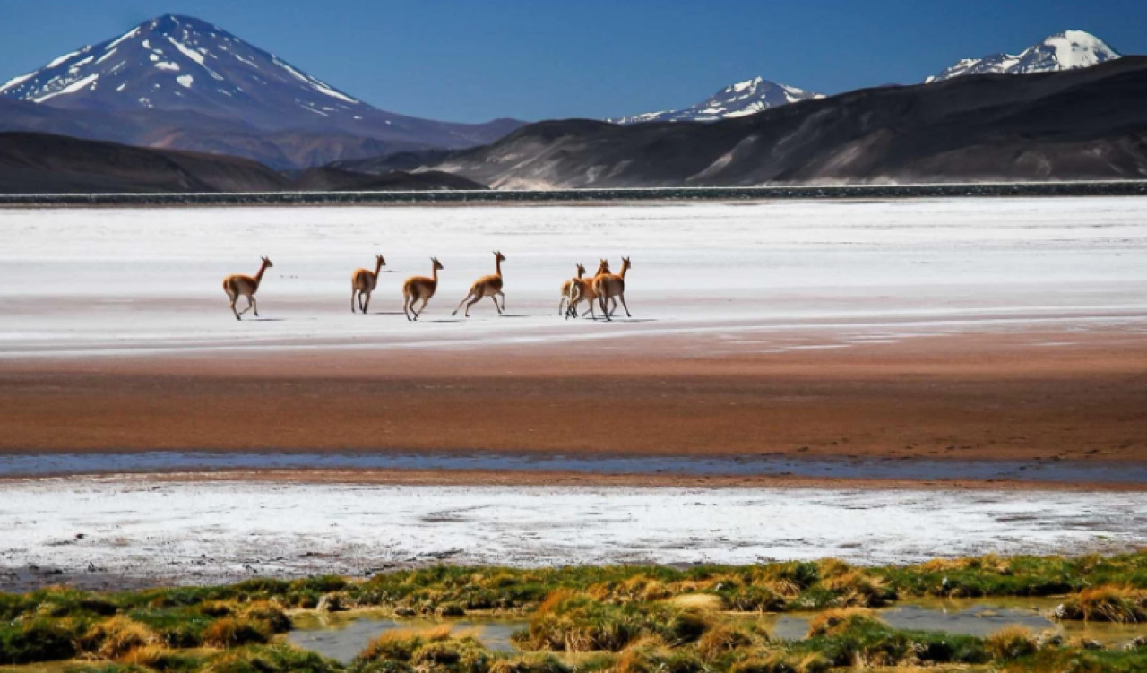 Ruta de los Seismiles. Foto: NA