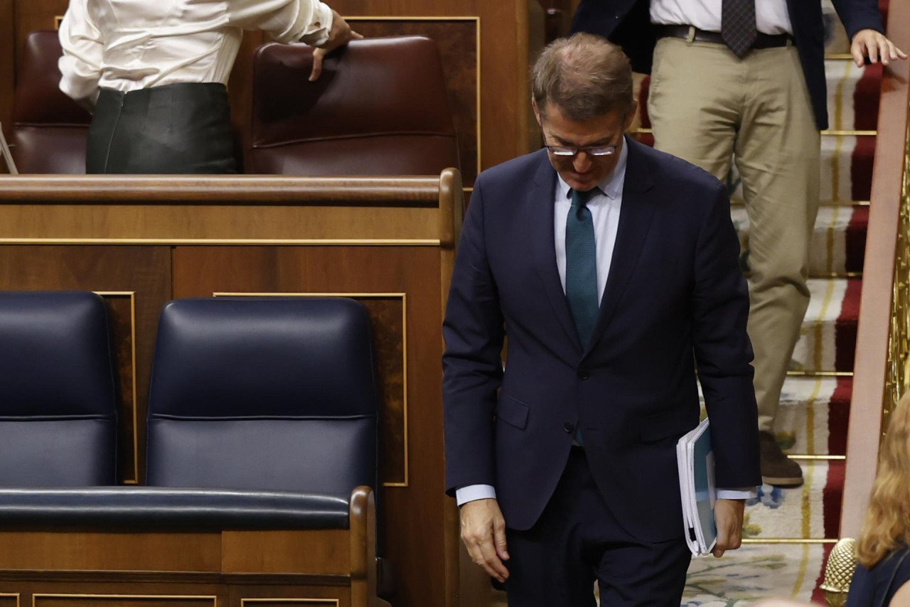 Alberto Núñez Feijóo. Foto: EFE.