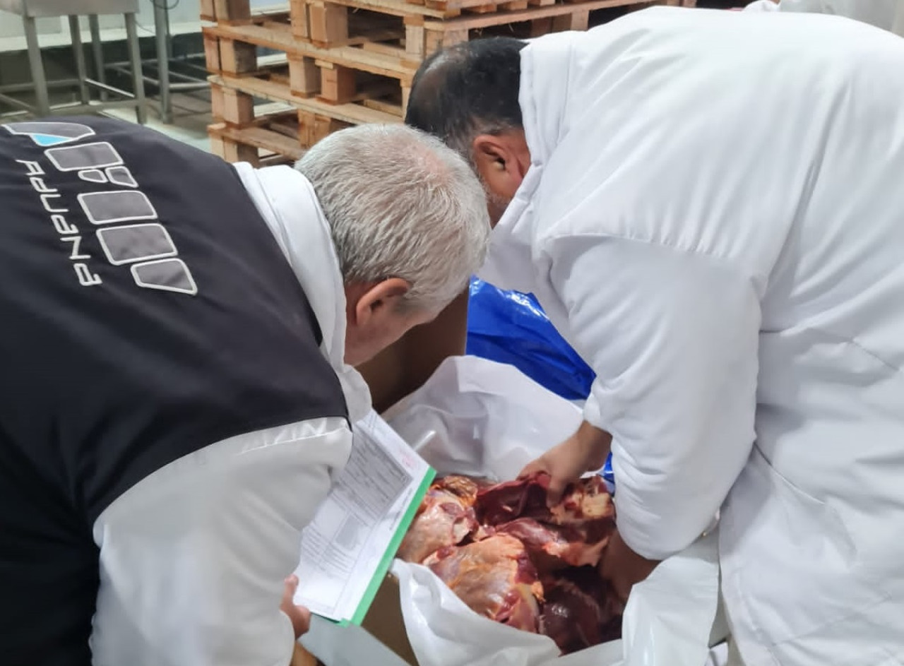 Denuncia contra frigorífico por subfacturar exportaciones. Foto: Aduana.