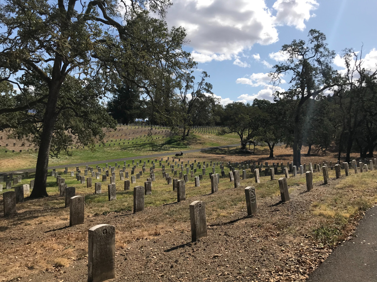 Bebés abandonados en cementerio de República Dominicana. Foto: Unsplash