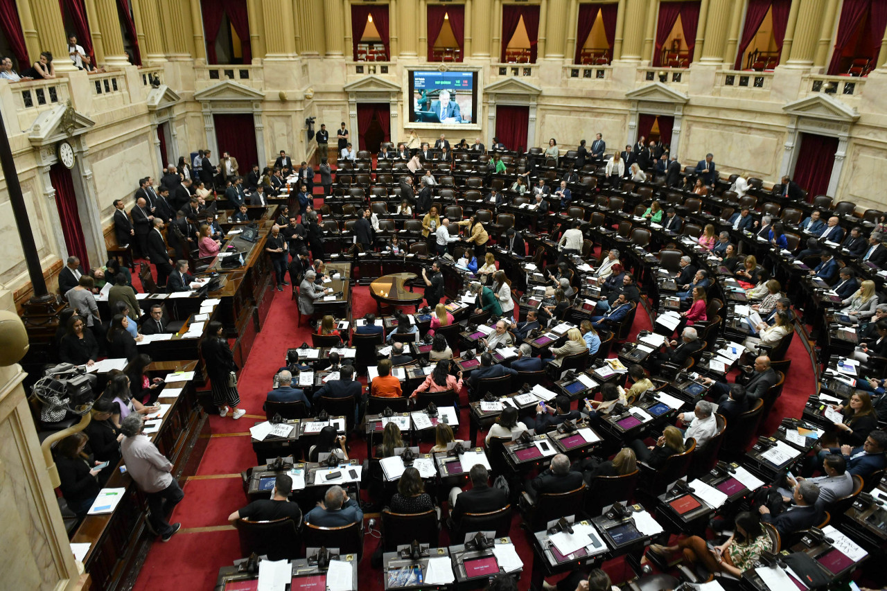 Debate en Diputados. Foto: NA.