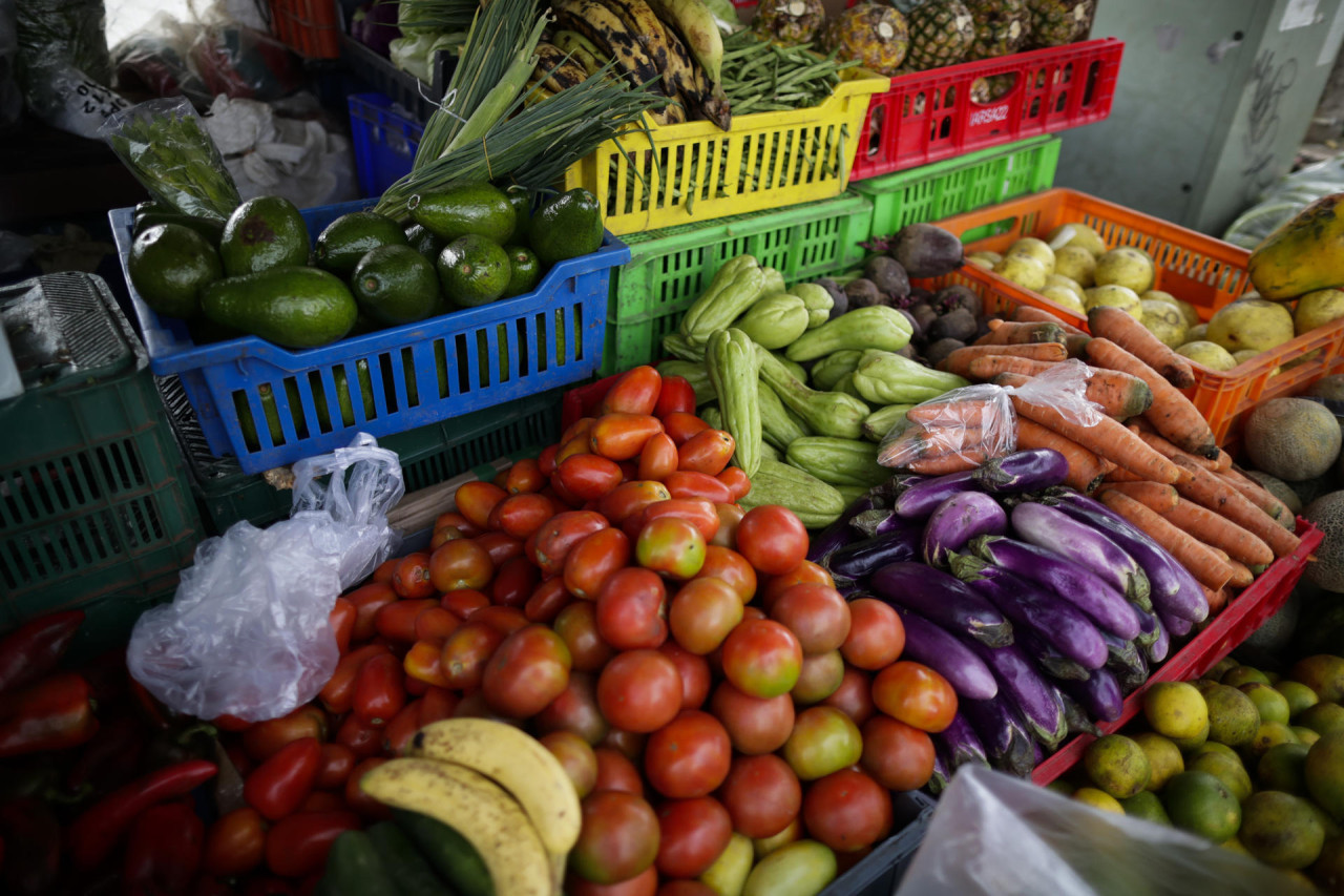 El Día Mundial de la Alimentación se celebra cada 16 de octubre. Foto: EFE.