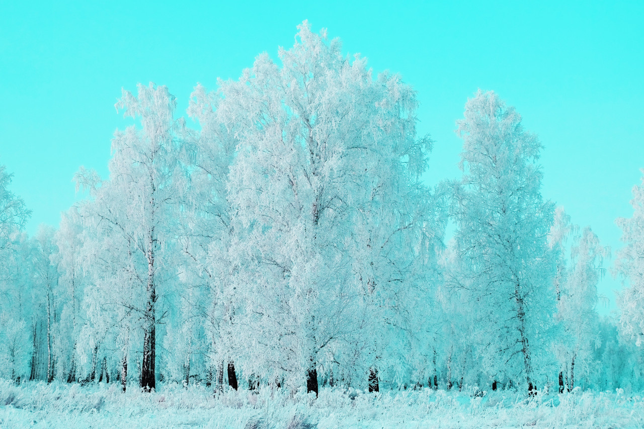 Siberia, Rusia. Foto: Unsplash.