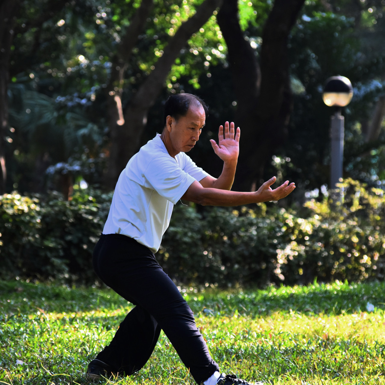 Tai Chi. Foto: Unsplash