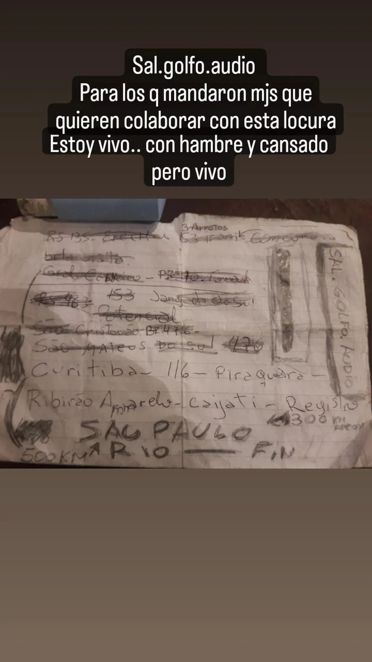 El pedido de ayuda. Foto: Instagram.