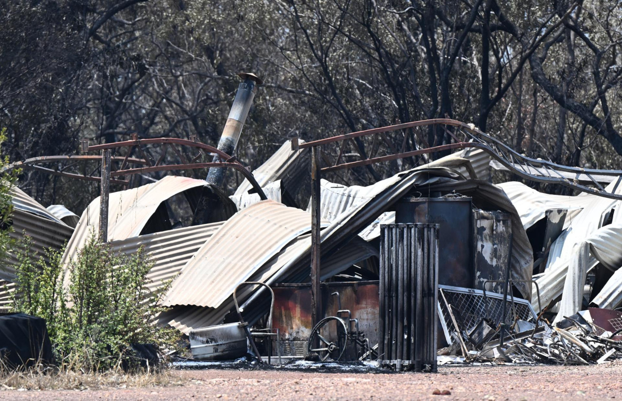 Incendios forestales en Australia. Foto: EFE.