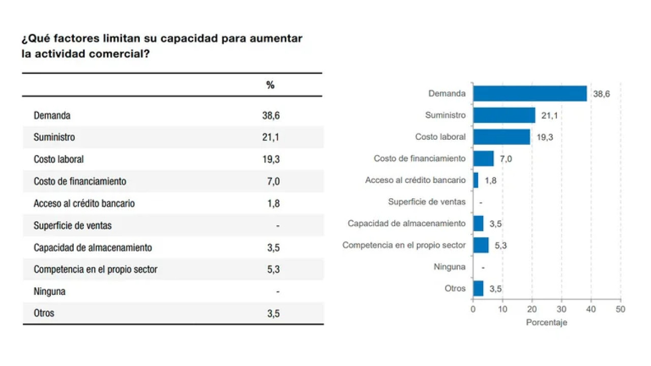 Datos de la encuesta realizada por el Indec. Foto: Indec.