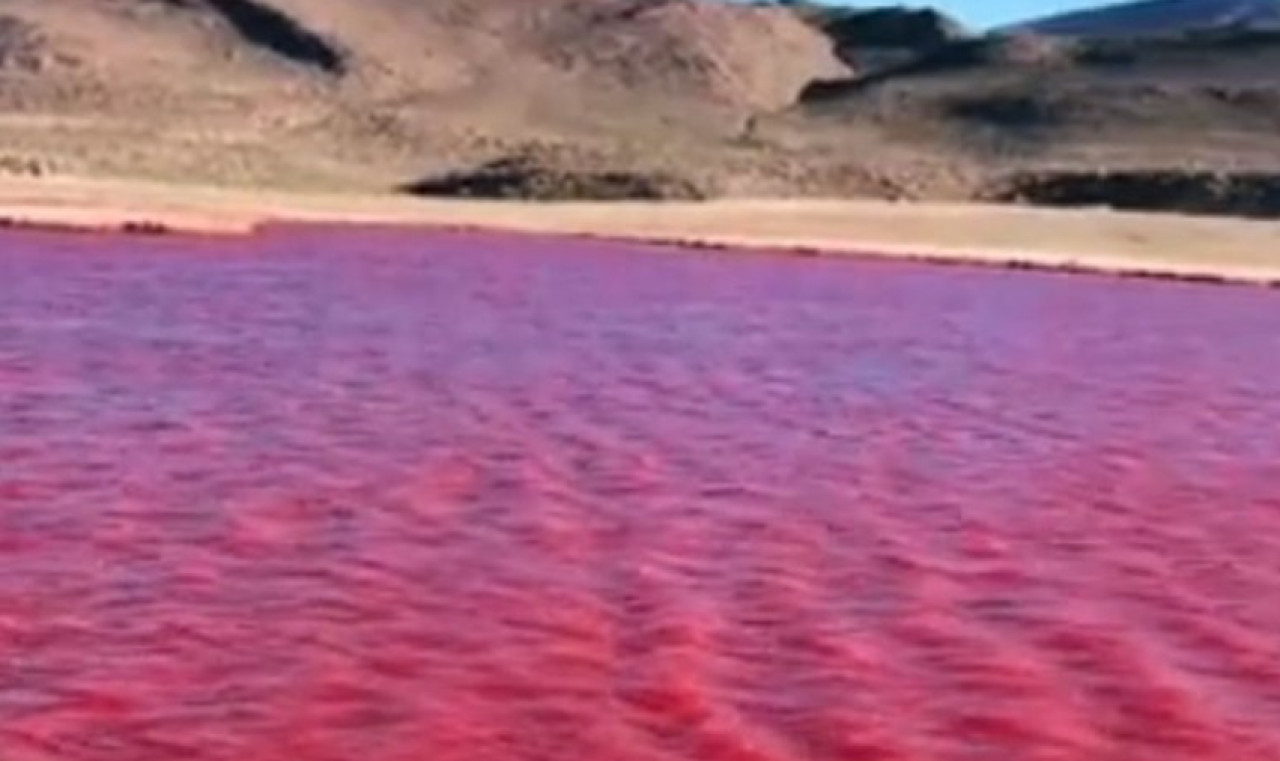 Río Nilo teñido de rojo. Foto: NA.