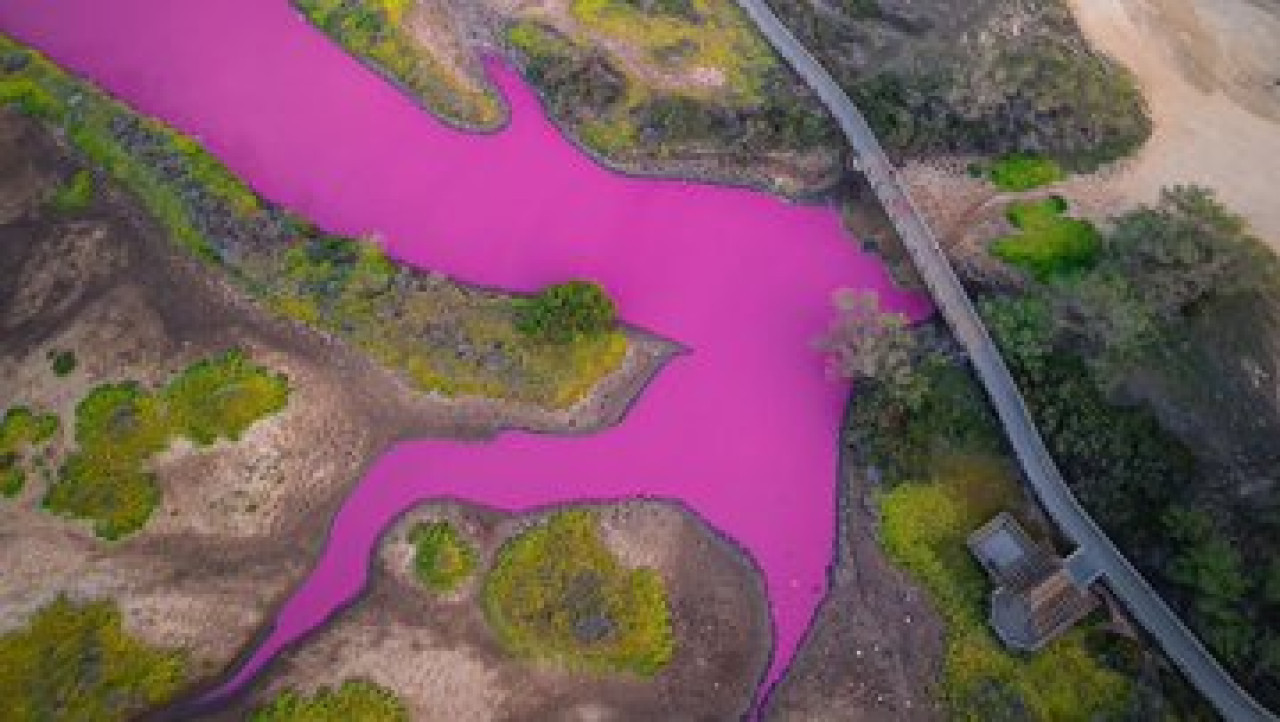 Agua rosa en Hawái. Foto Twitter @primacial.