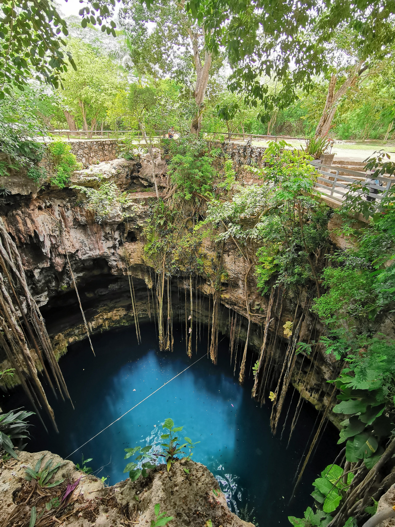 Cenotes. Foto Unsplash.