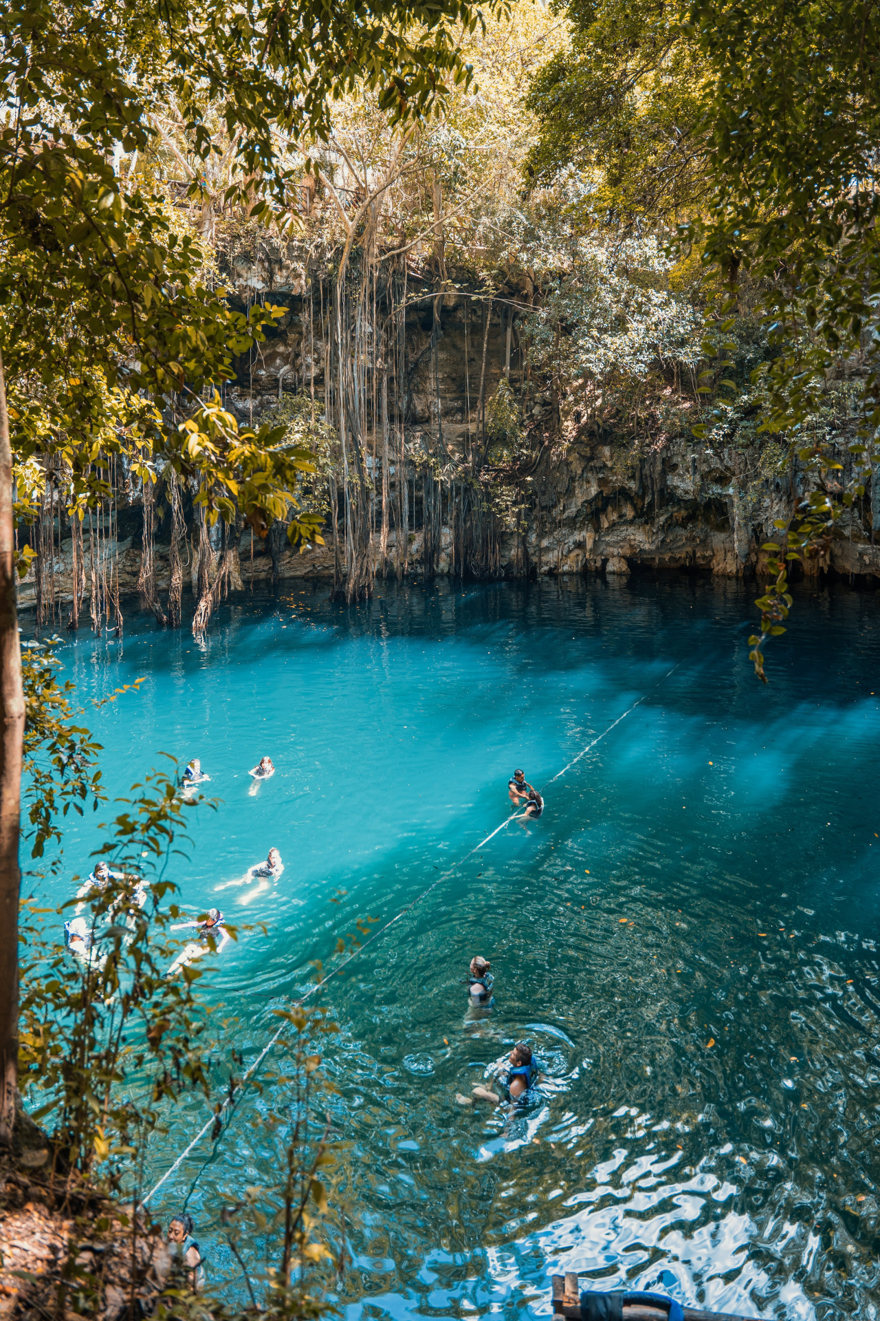 Cenotes. Foto Unsplash.