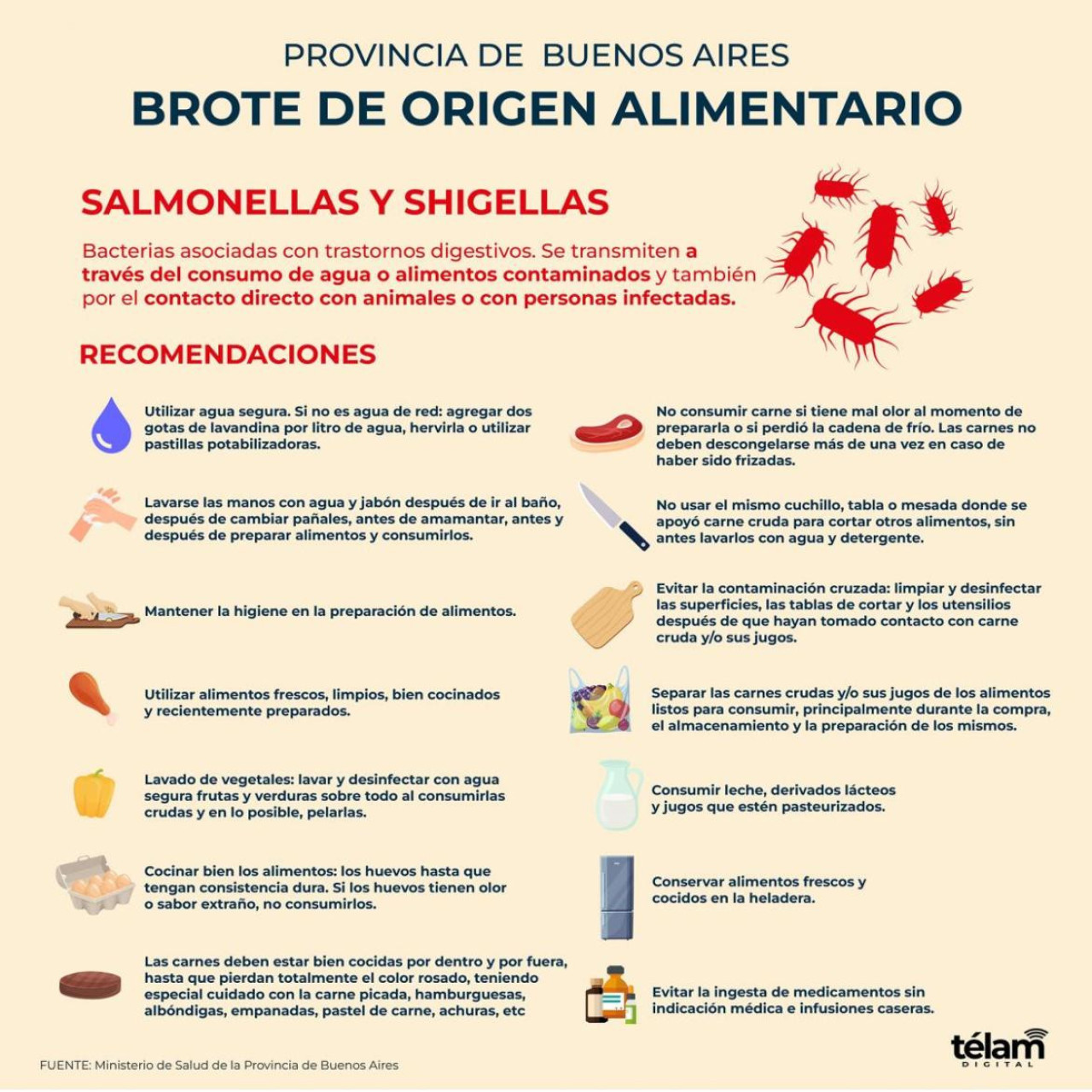 Salmonella. Foto: Télam