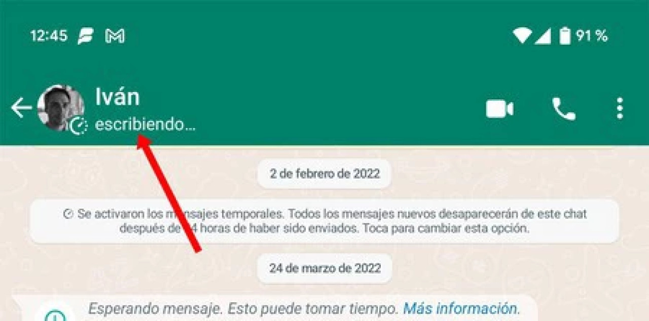 Ocultar el "Escribiendo" en WhatsApp. Foto:  Captura de pantalla.