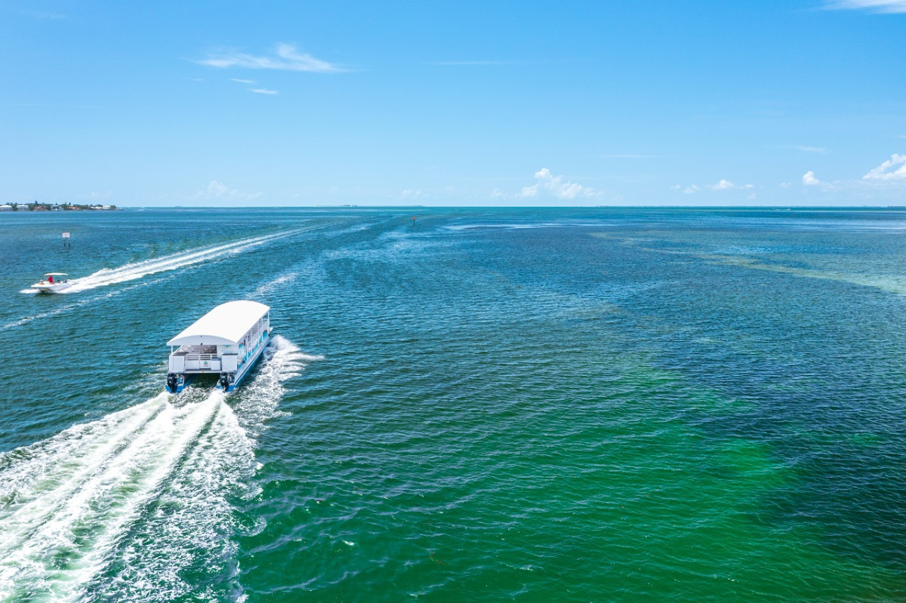 Anna Maria Island. Foto Twitter @WFLA.