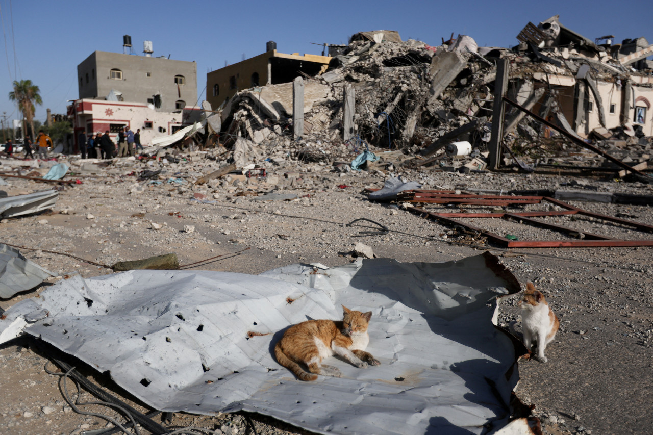 Gazatíes buscan sus cosas entre las ruinas. Foto: Reuters.