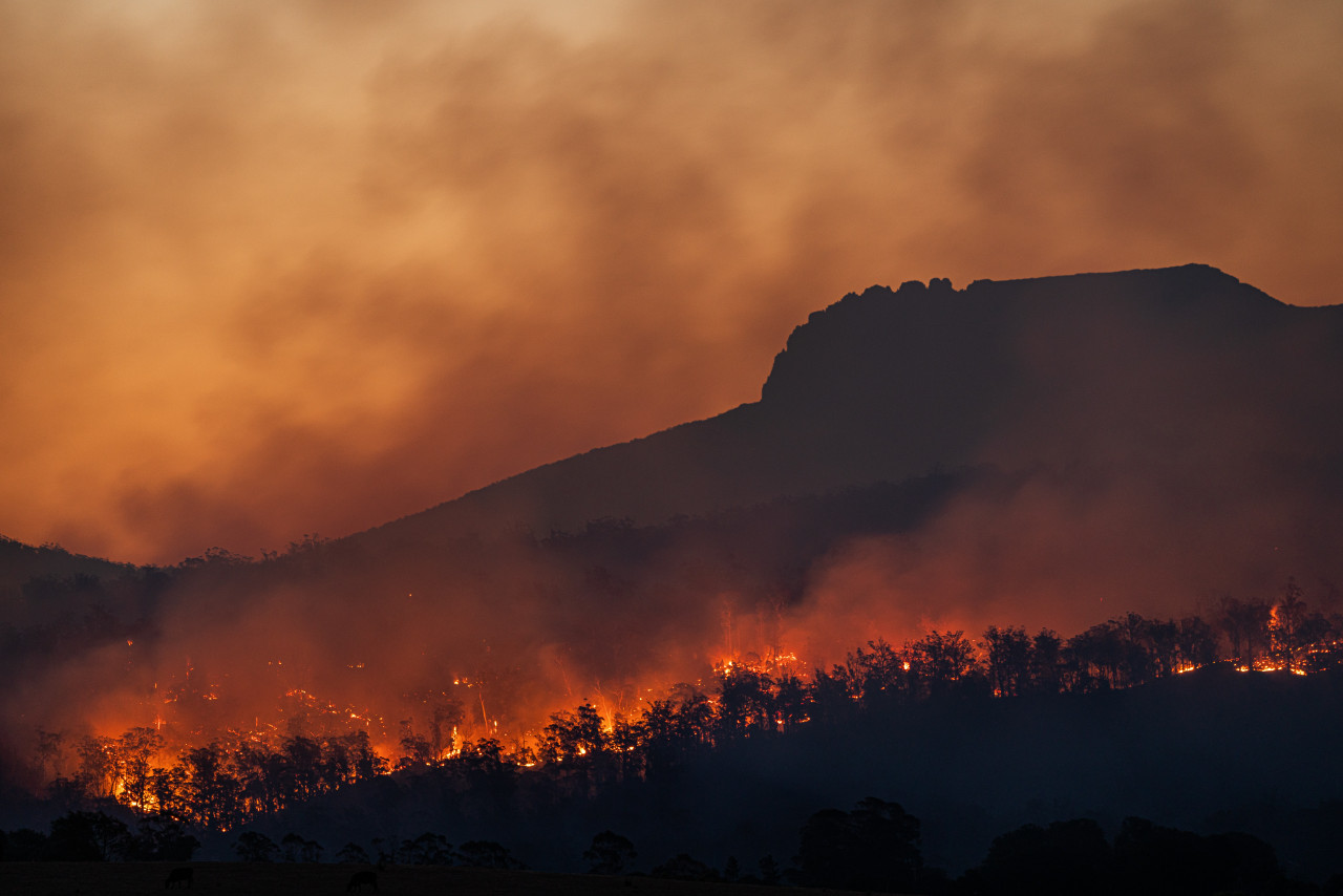 Un tercio de las personas aún duda sobre la crisis climática, según un estudio científico. Unplash