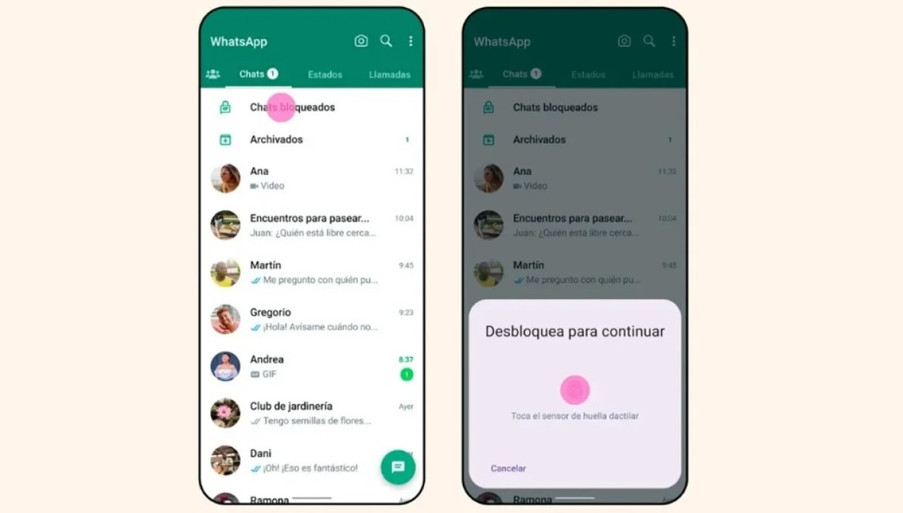 Nueva actualización de WhatsApp. Foto: WhatsApp