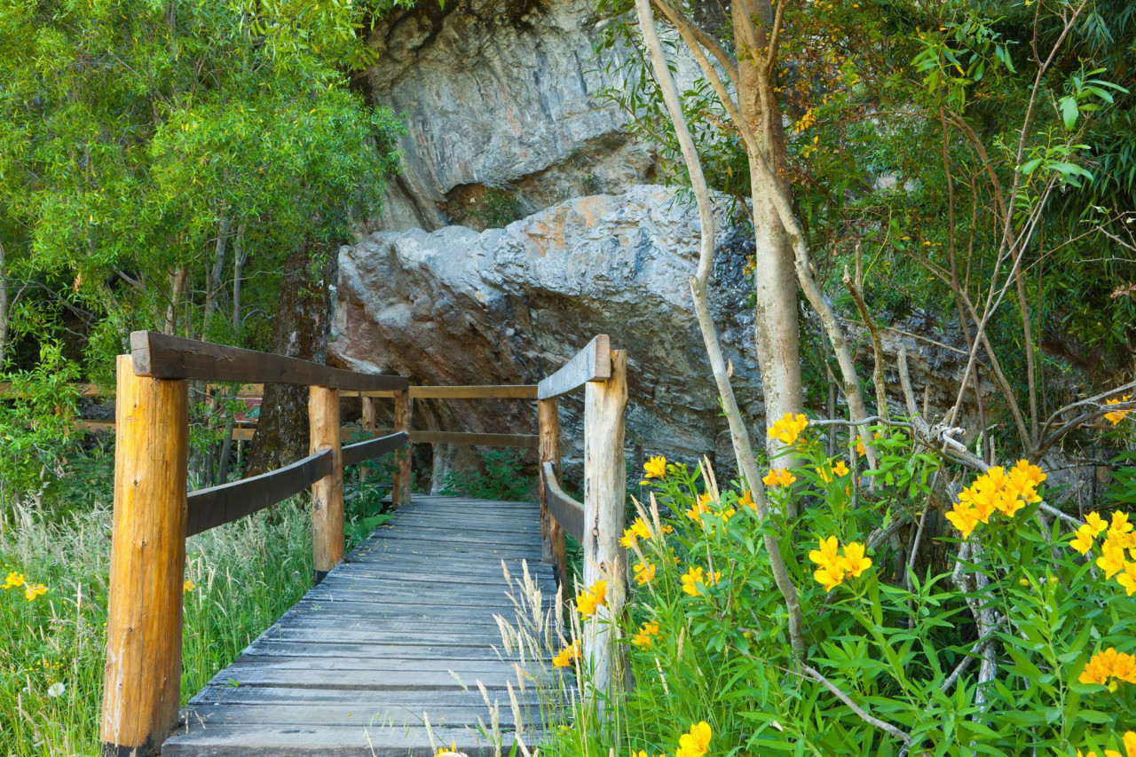 El Parque Nacional los Alerces. Foto: Twitter.