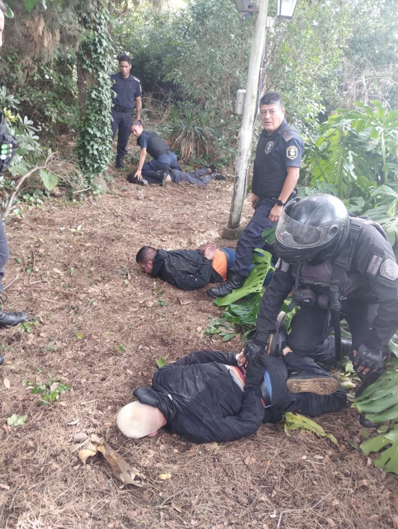 Los ladrones detenidos. Foto: Twitter.