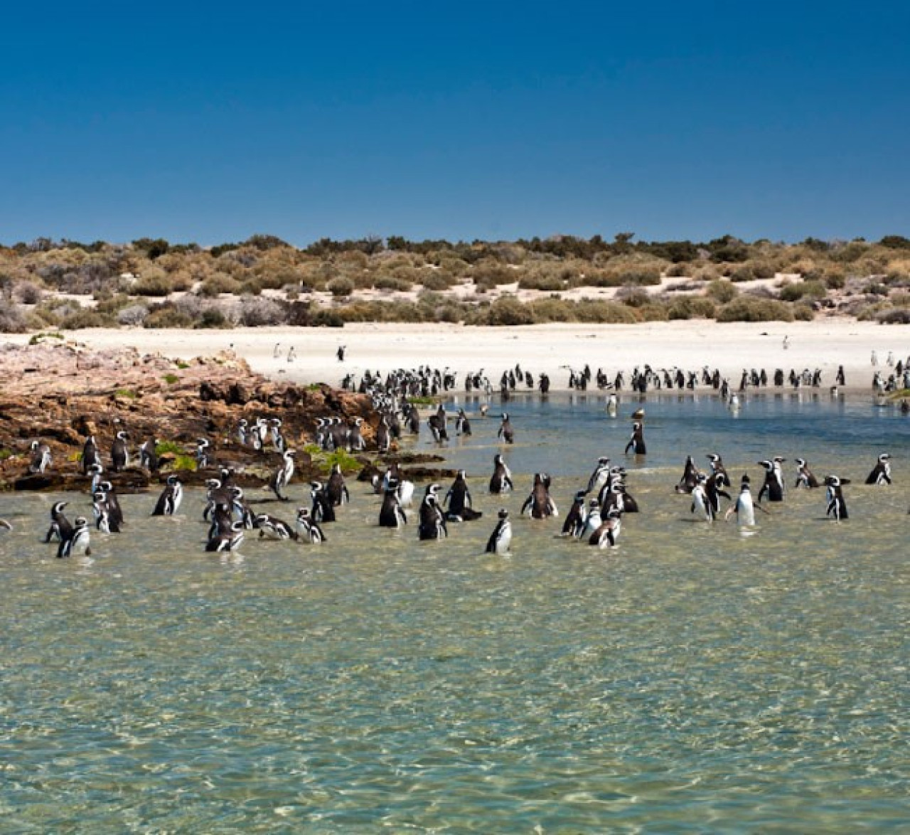 Bahía Bustamante, en Chubut. Foto: Bahía Bustamante Lodge.