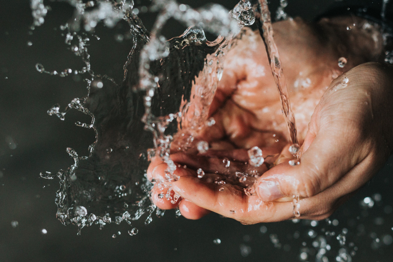 Los riesgos de E.Coli. Foto: Unsplash