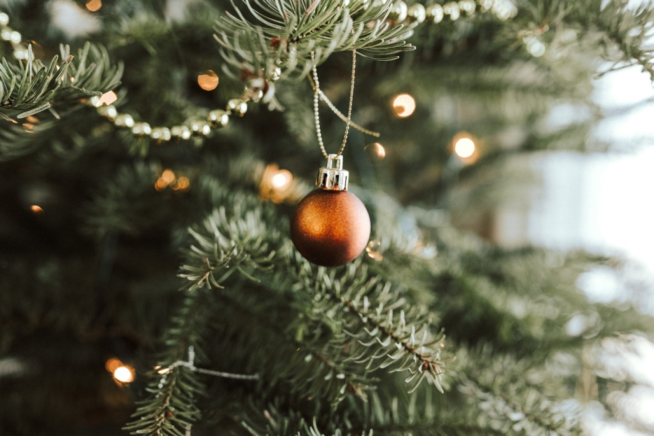 Árbol de navidad. Foto: Unsplash.