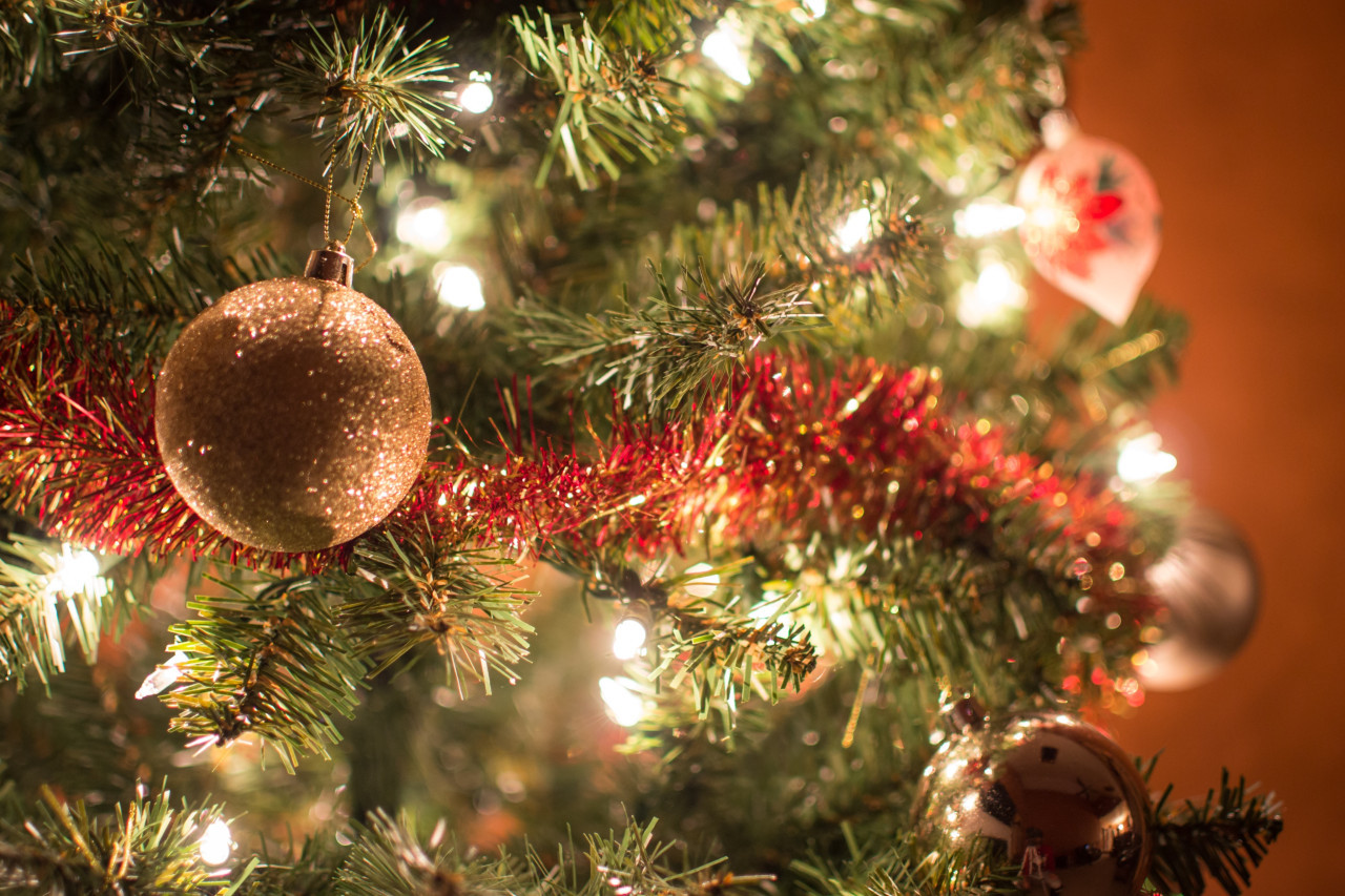 Árbol de Navidad. Foto: Unsplash.