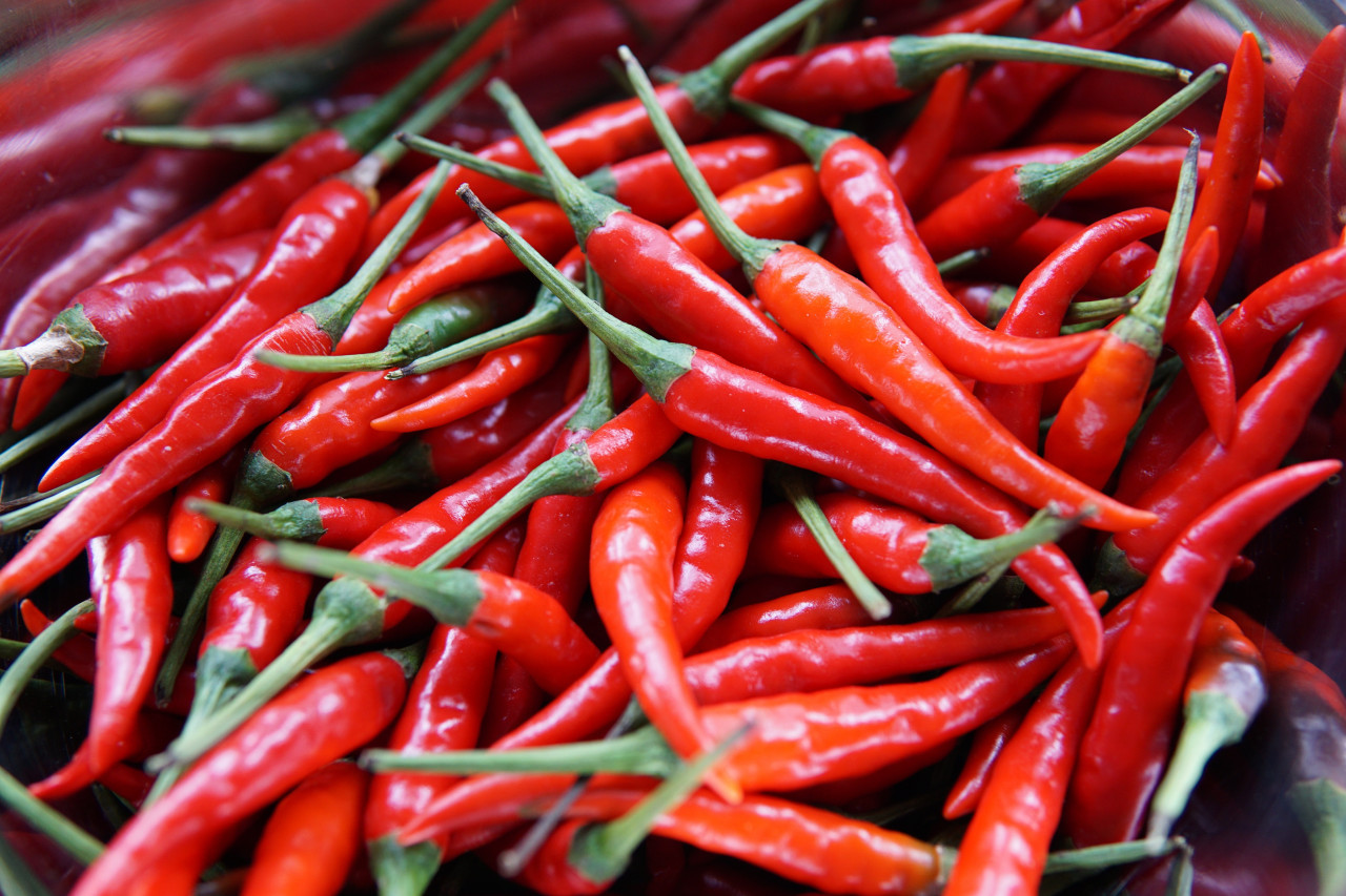 El pimiento es un fruto muy conocido y usado en la famosa dieta mediterránea. Foto: Unsplash