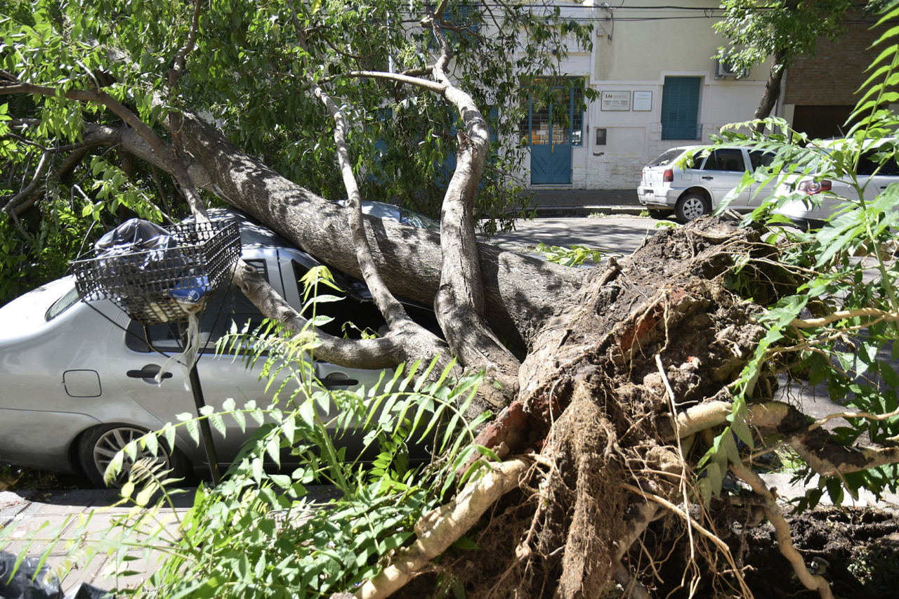 Trágico temporal en Bahía Blanca. Foto: Télam