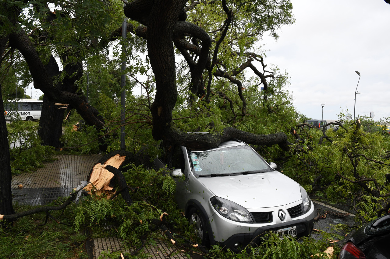 Consecuencias del temporal en Aeroparque. Foto: Télam