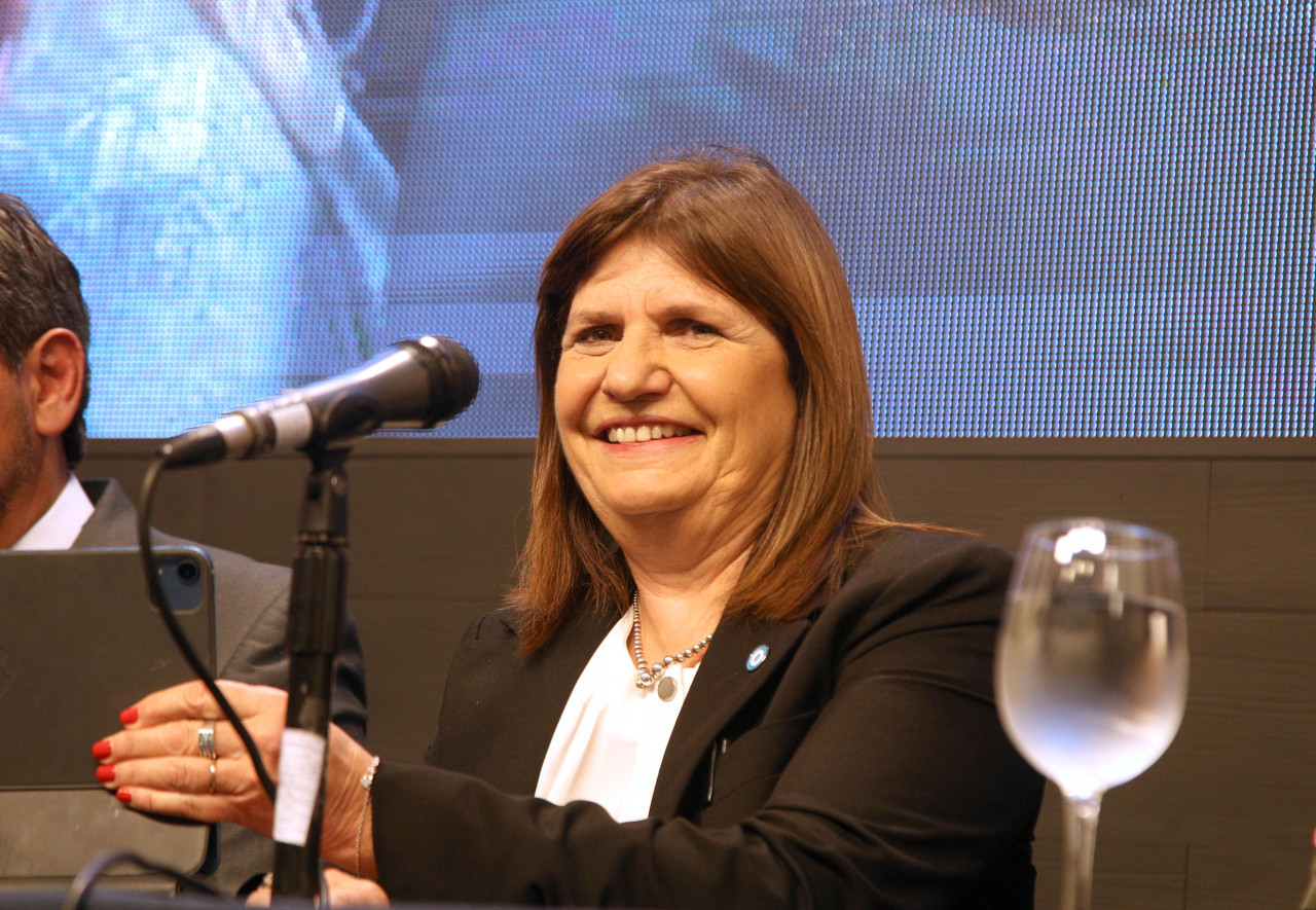 Conferencia de prensa de Patricia Bullrich. Foto: NA