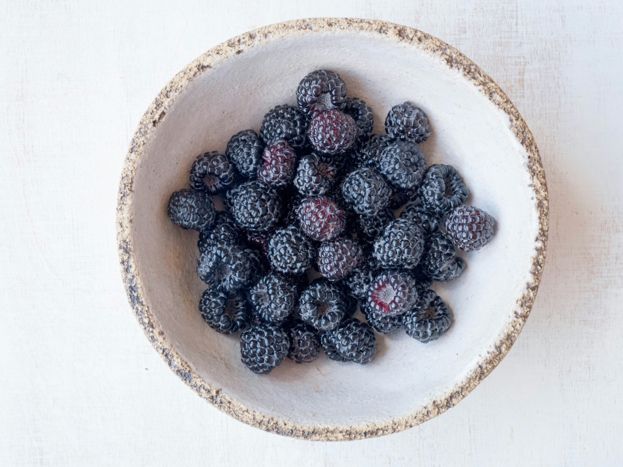 Moras. Foto Unsplash.