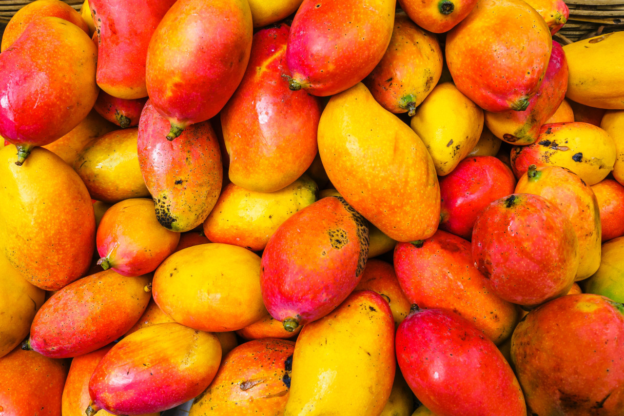 Mango. Foto Unsplash.