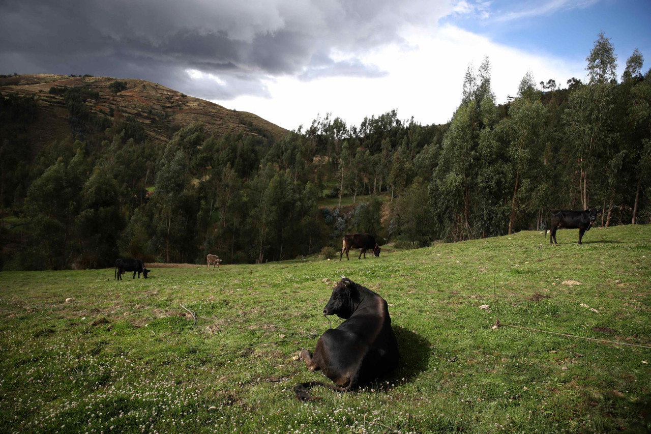 El Niño llega a Perú. Foto: EFE