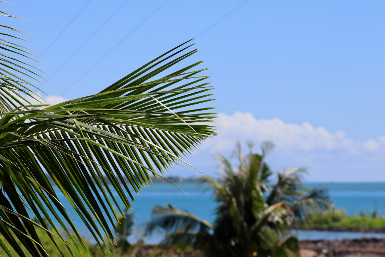 Samoa. Foto: Unsplash