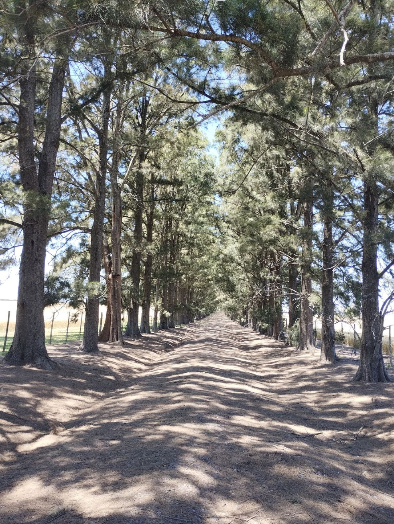 Baradero, el pueblo más antiguo de Argentina dotado de historia y encanto. Foto: Instagram.